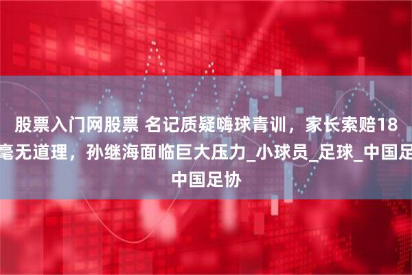 股票入门网股票 名记质疑嗨球青训，家长索赔18万毫无道理，孙继海面临巨大压力_小球员_足球_中国足协