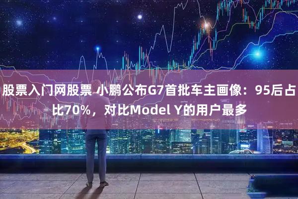 股票入门网股票 小鹏公布G7首批车主画像：95后占比70%，对比Model Y的用户最多