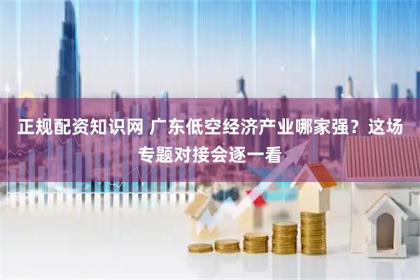 正规配资知识网 广东低空经济产业哪家强？这场专题对接会逐一看