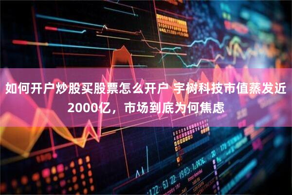 如何开户炒股买股票怎么开户 宇树科技市值蒸发近2000亿，市场到底为何焦虑